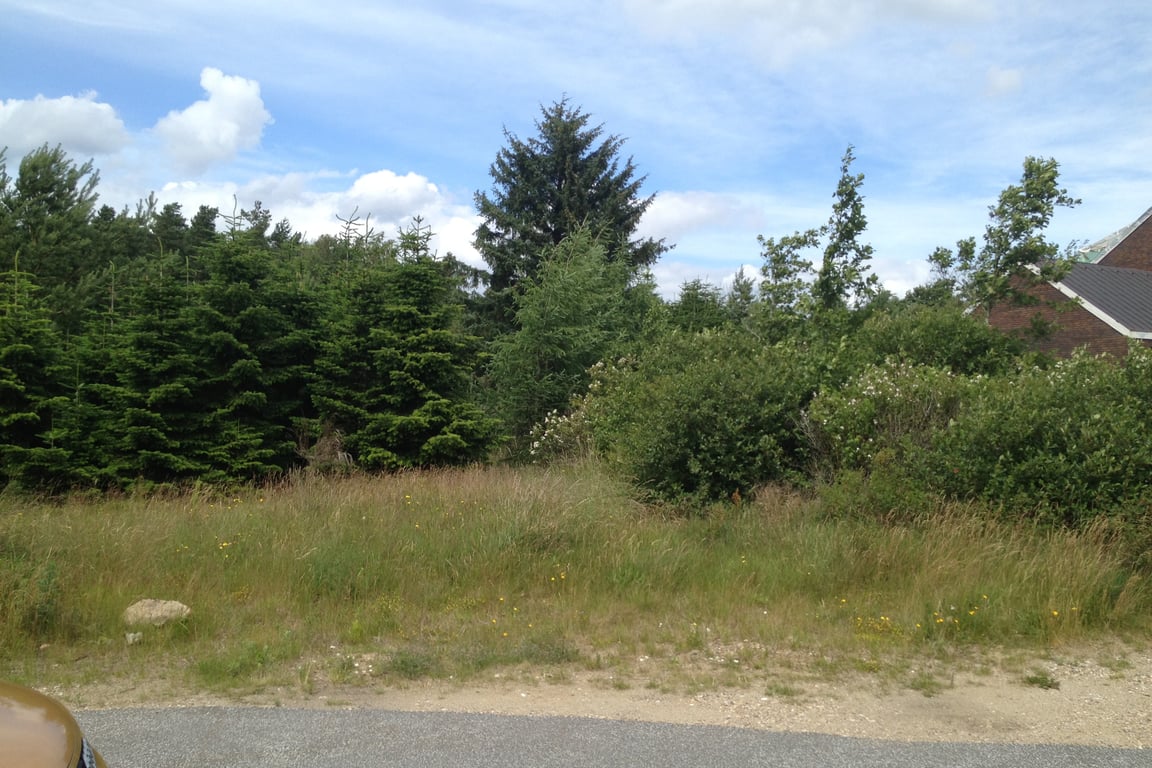 Holmekollen 5