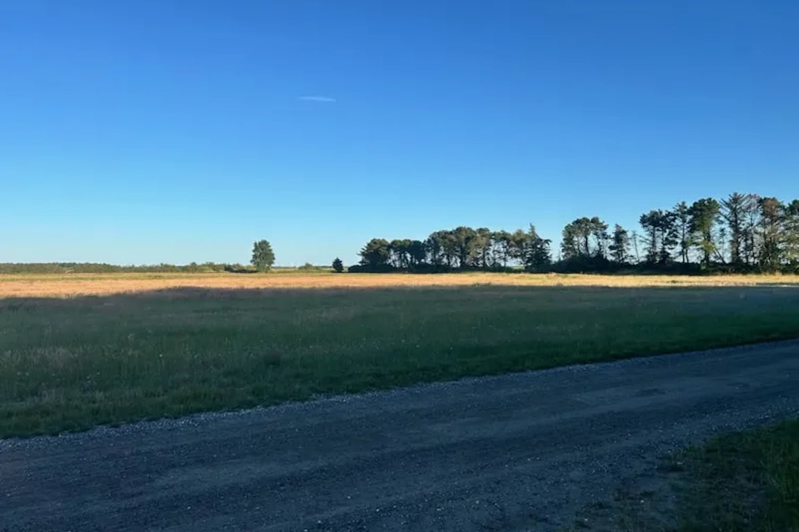 Sivsangervej 6